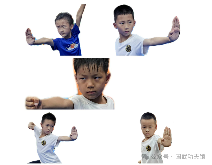 【陽(yáng)光體育】武術(shù)教育不是消費(fèi)，而是投資：十年沉淀，一生財(cái)富